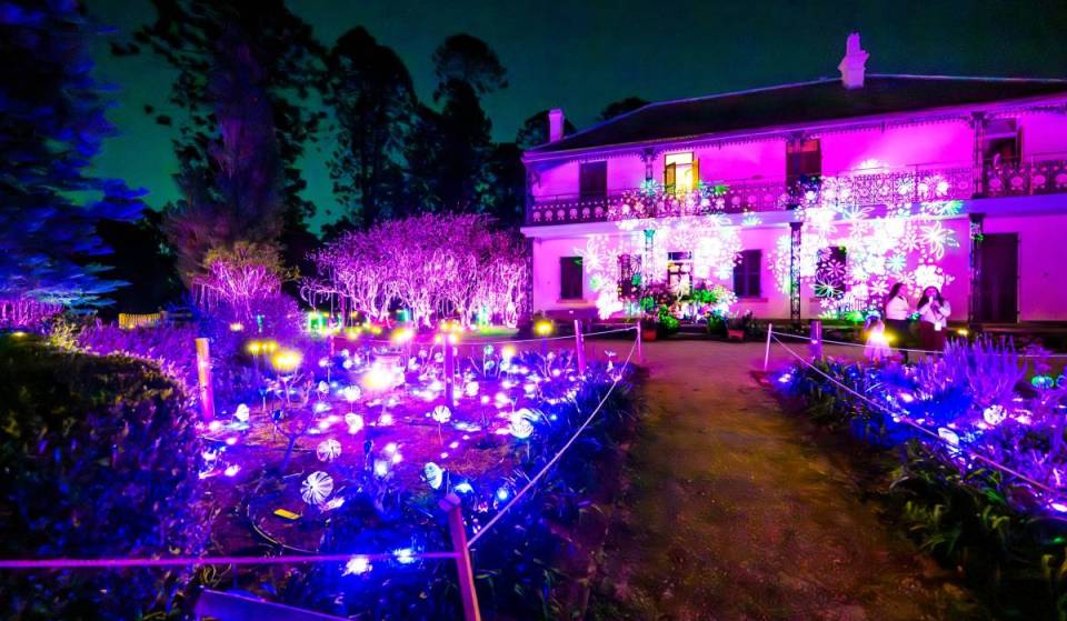 This light show in Sydney winds past glowing flower gardens – back this September