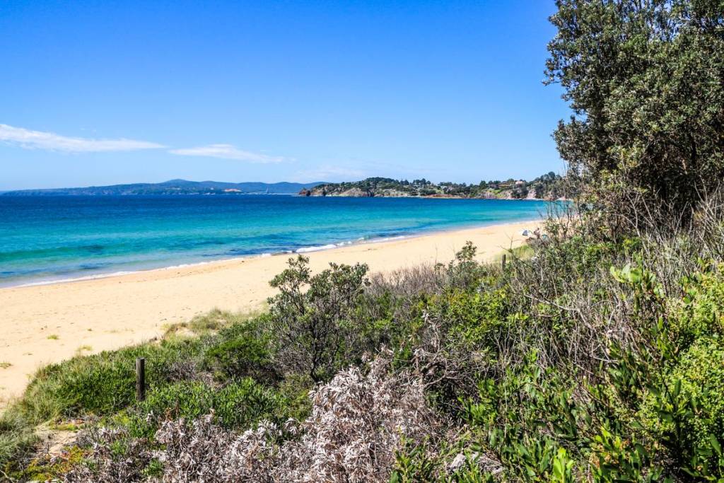 A sandy beach with turquoise-blue water, backed by coastal bushland beneath a clear blue sky in Eden, NSW