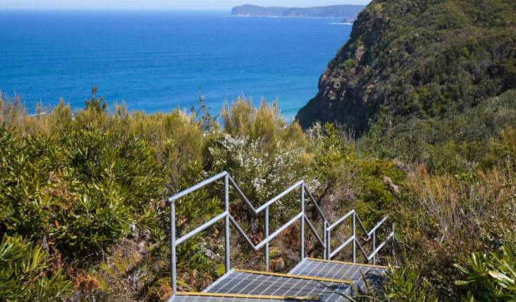 This 6km coastal trail 1.5 hours from Sydney is incredible in late winter – with whale watching, wildflowers and ocean views