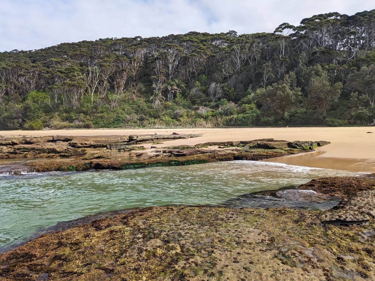 Rocky shoreline and secluded beach surrounded by bushland in Wyrrabalong National Park