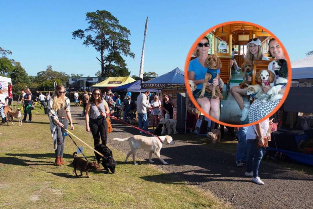 street paws festival in sydney, at the tramway museum