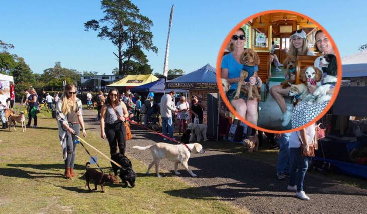 A free unique dog festival is taking over Sydney Tramway Museum this Saturday — and your pooch can actually ride the historic trams through the National Park