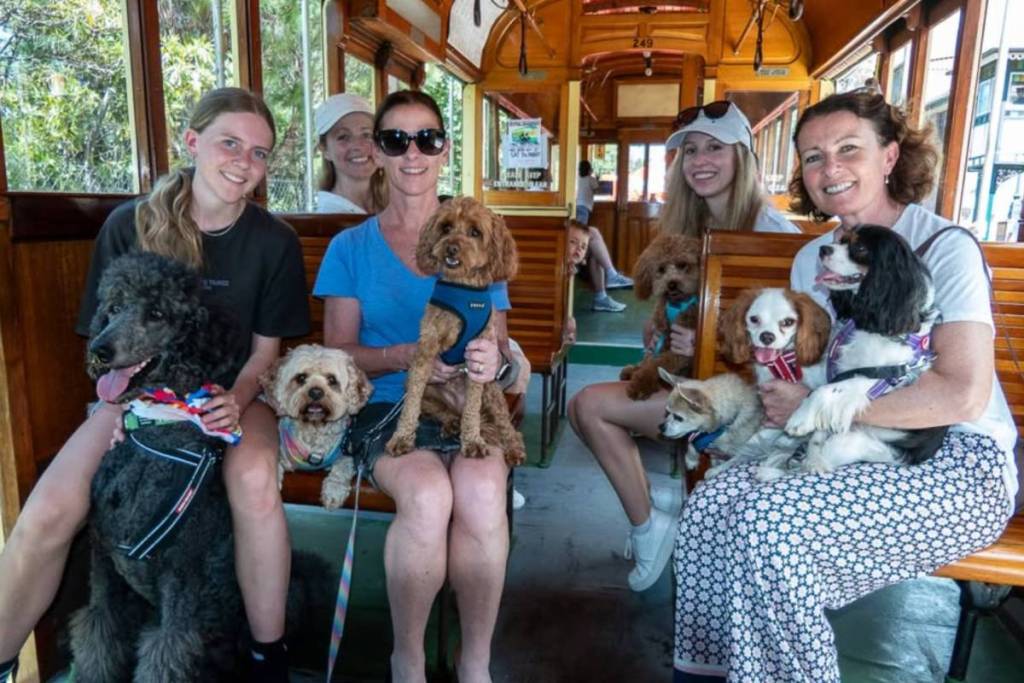 street paws festival in sydney, at the tramway museum