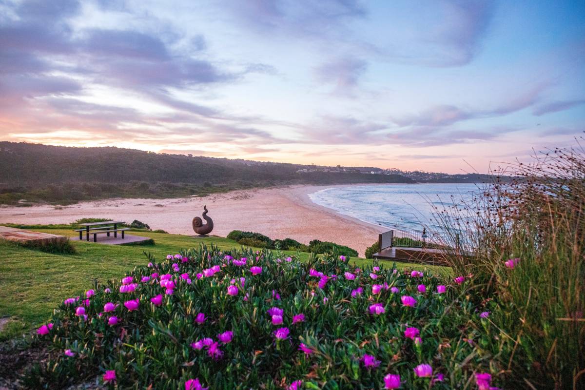 Golden sand beach in Merimbula framed by pink flowers under a colourful sunset sky