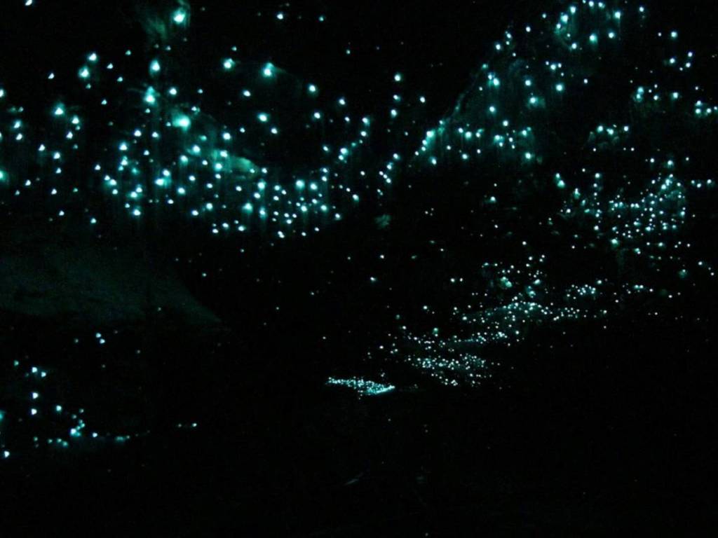 glow worn glen at bundanoon near melbourne in victoria