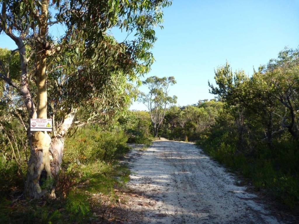 trail track from Wondabyne to Patonga walk near sydney