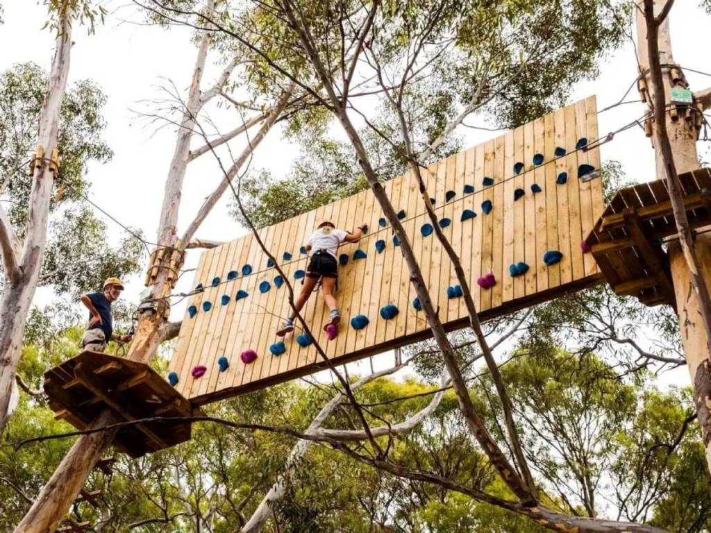 climbing activity at The Y Camp Yarramundi in Western Sydney's blue mountains