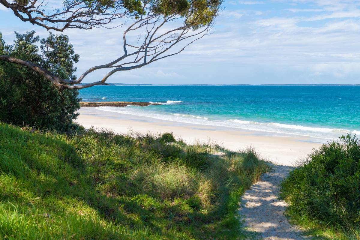 A white sand beach and vivid blue water framed by coastal bushland near Huskisson in Jervis Bay