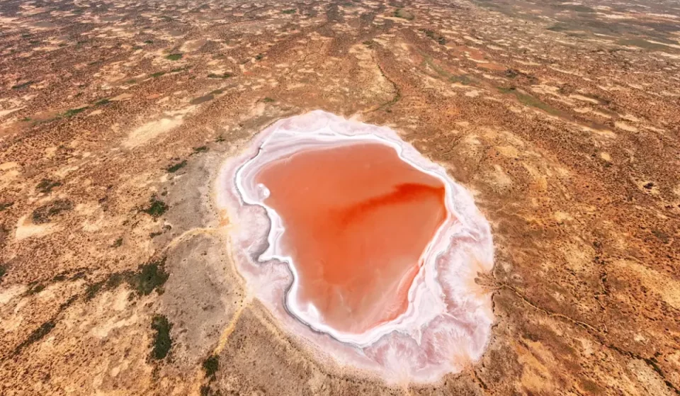 Two rare pink lakes will become part of NSW national parks for the first time – with sweeping sand dunes and incredible scenery