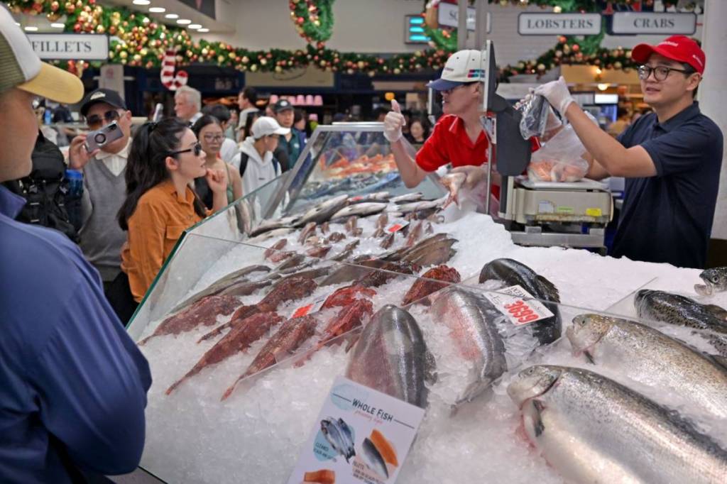 sydney fish market's new wharf