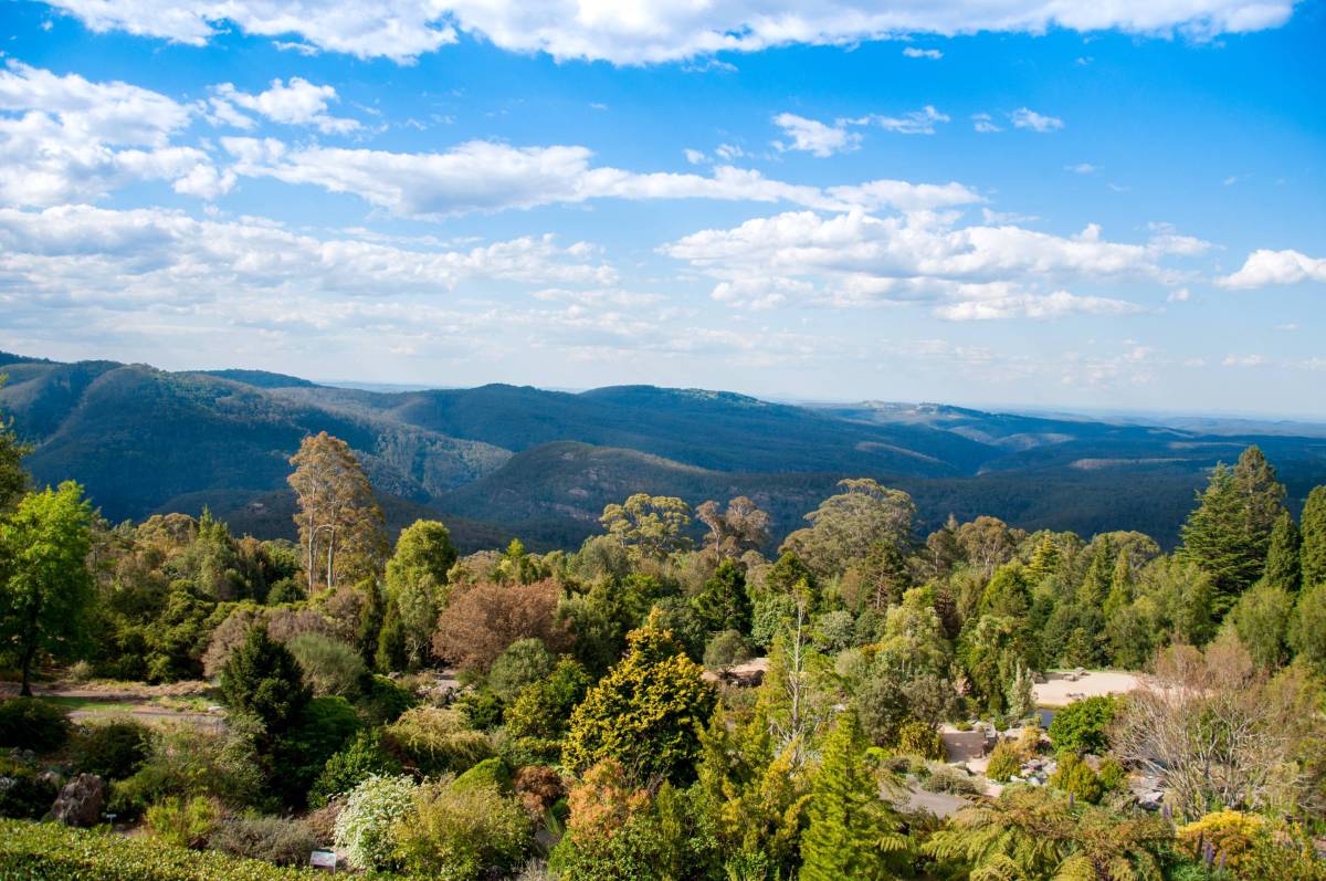 Colourful gardens and lush greenery overlooking the forested mountains at Blue Mountains Botanic Garden, Mount Tomah
