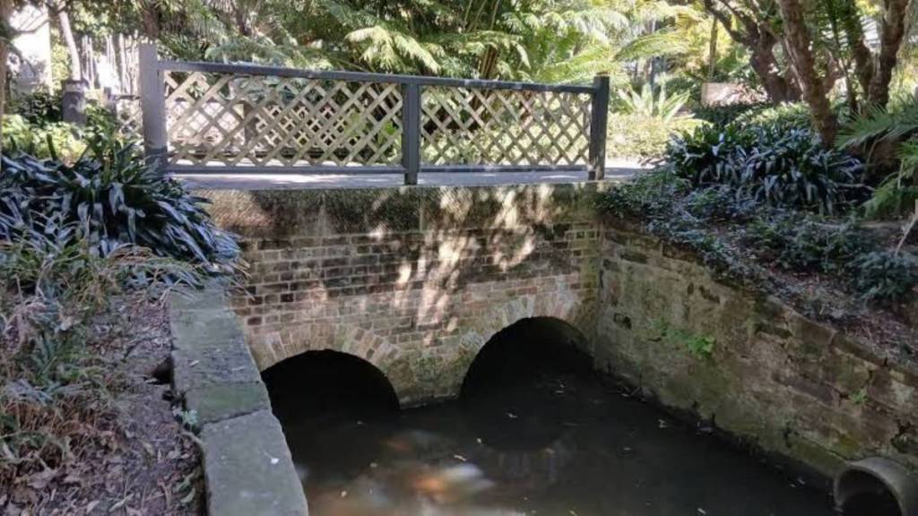 The Macquarie Culvert in botanic gardens, sydney