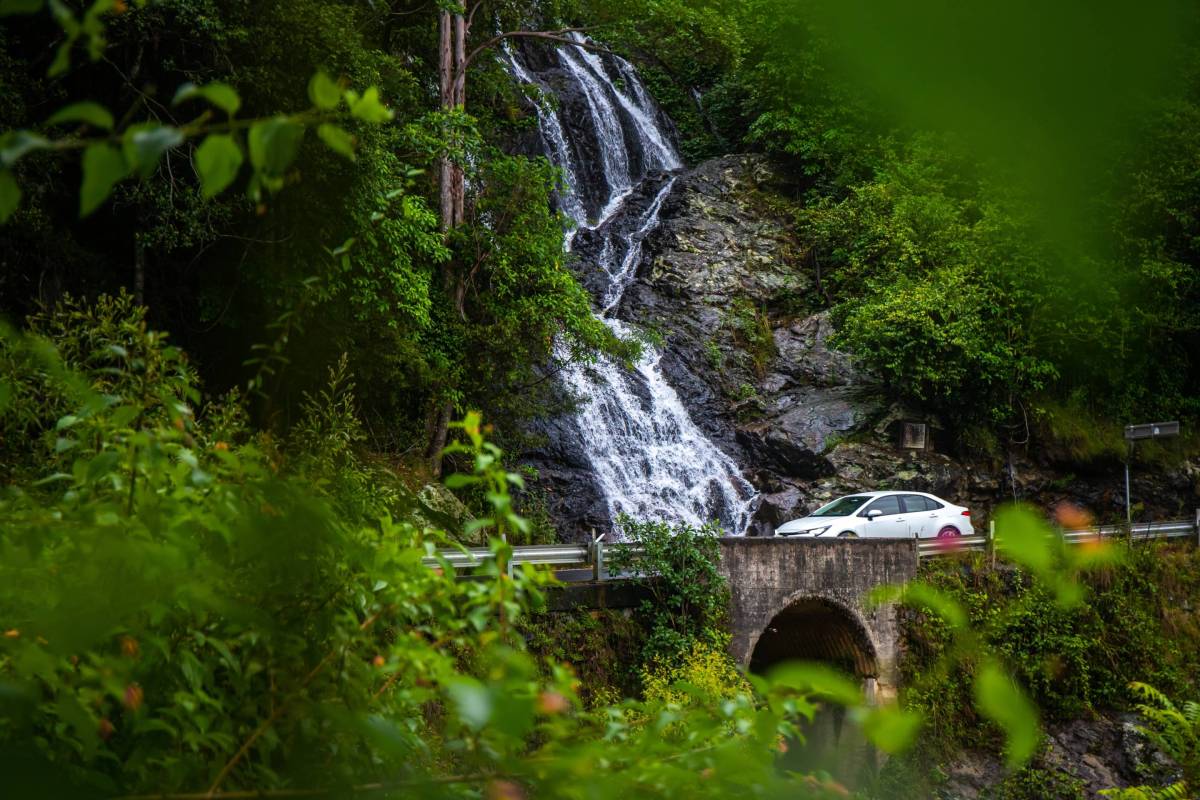 A roadside waterfall flowing down a rocky hillside beside a stone bridge and a passing car, surrounded by dense green rainforest