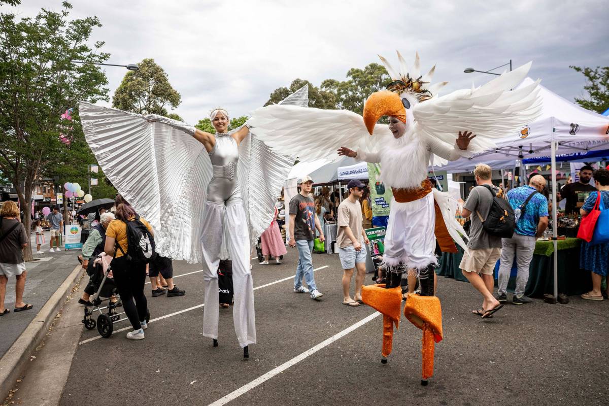 Two performers in elaborate white bird costumes and silver wings entertain visitors at Gymea Village Festival, with market stalls lining the street