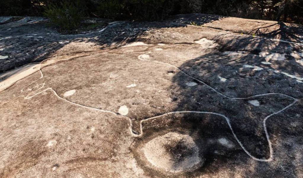 aboriginal dharwal rock engravings at jibbon beach, bundeena, royal national park, nsw near Sydney