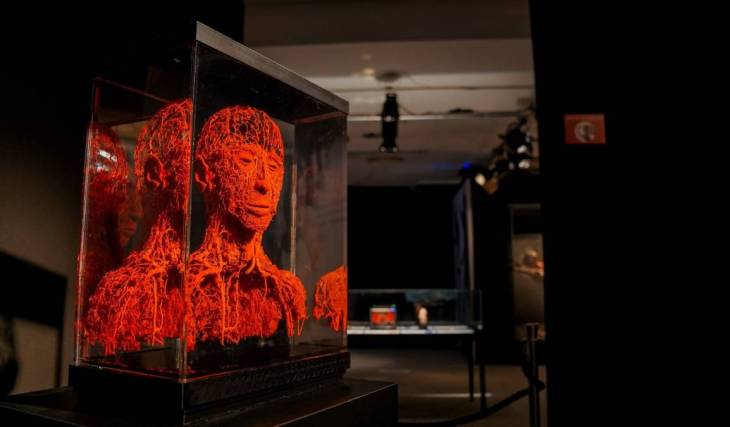 We took an unforgettable journey through BODY WORLDS: The Anatomy Of Happiness and left with a whole new perspective on life