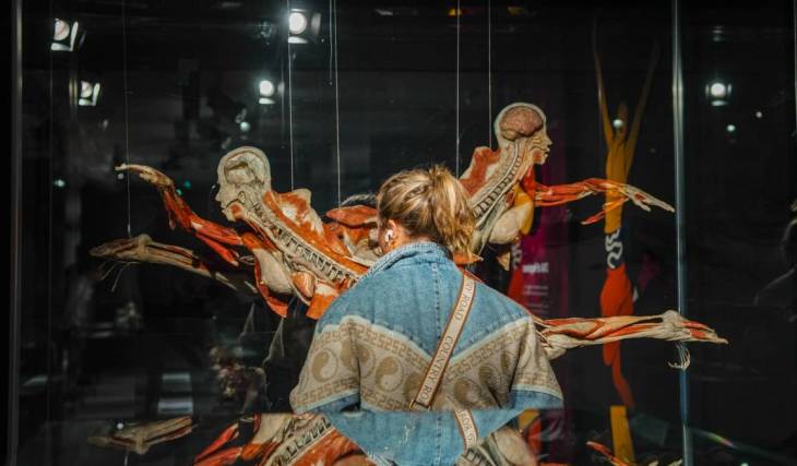 We took an unforgettable journey through BODY WORLDS: The Anatomy Of Happiness and left with a whole new perspective on life
