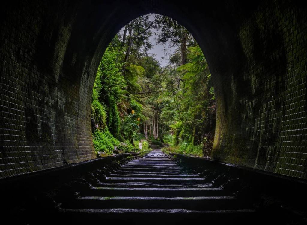 helensburgh metropolitan tunnel is the glow worm tunnel in Sydney, NSW