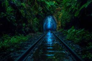 In 1889, this abandoned Sydney rail tunnel carried coal — today, it looks like an underground galaxy of glow worms