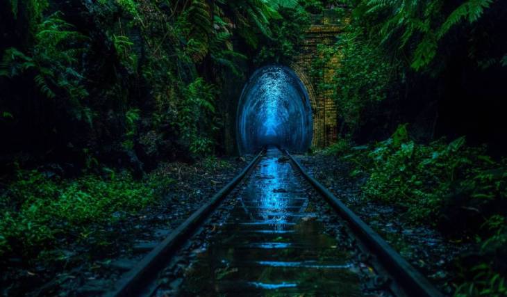 In 1889, this abandoned Sydney rail tunnel carried coal — today, it looks like an underground galaxy of glow worms