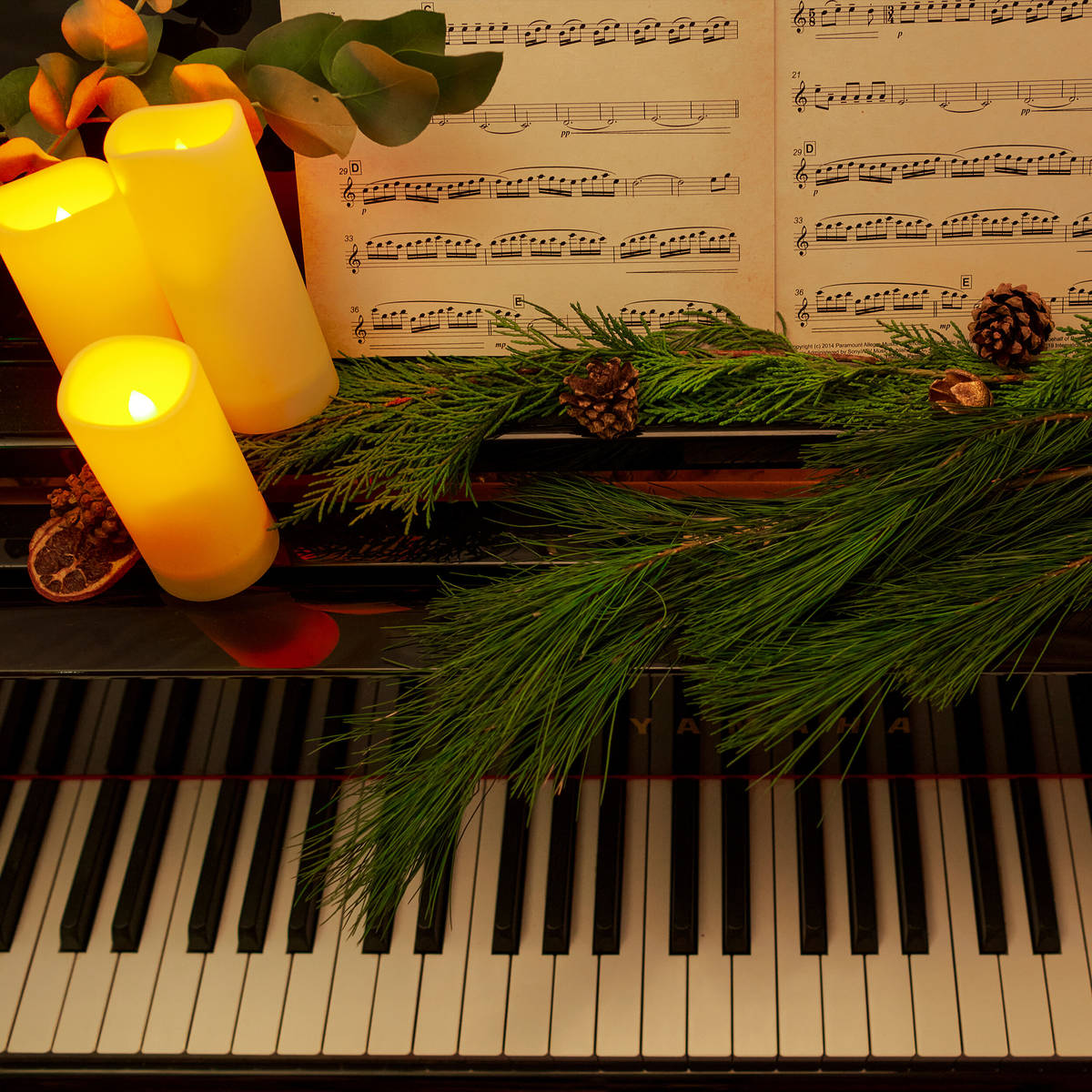 Christmas & Holiday Shows Candlelight Concerts In Tampa