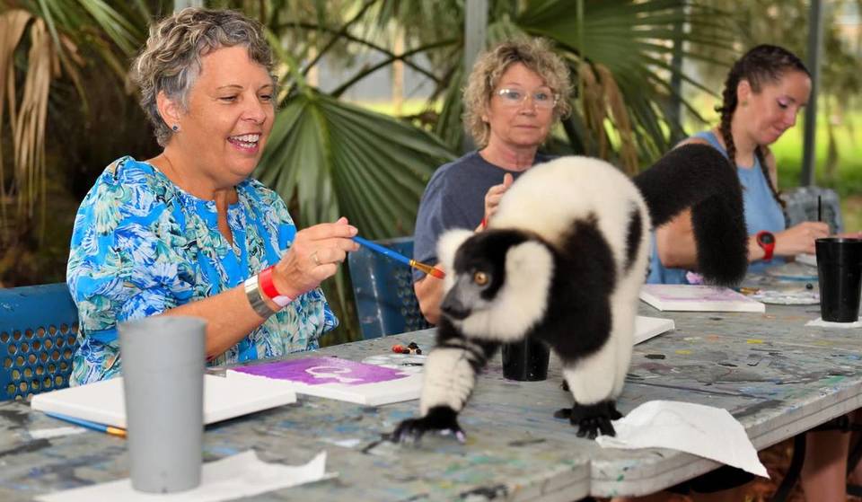 This Central Florida Wildlife Sanctuary Is Home To Over 250 Exotic Animals – Here’s How To Plan Your Visit