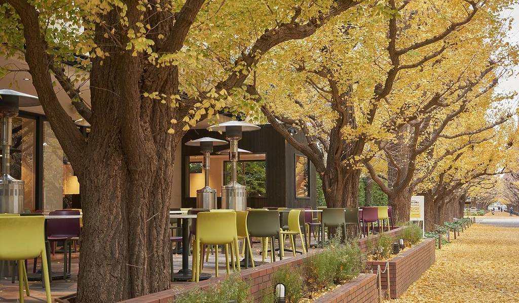 Kihachi Aoyama Honten