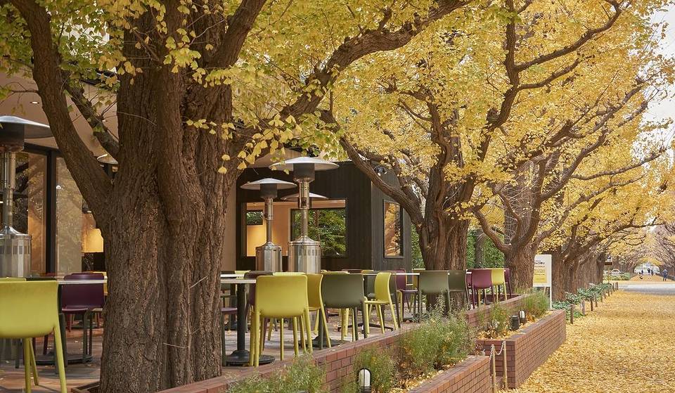 紅葉の時期にもおすすめ！庭園が美しい東京のカフェ8選