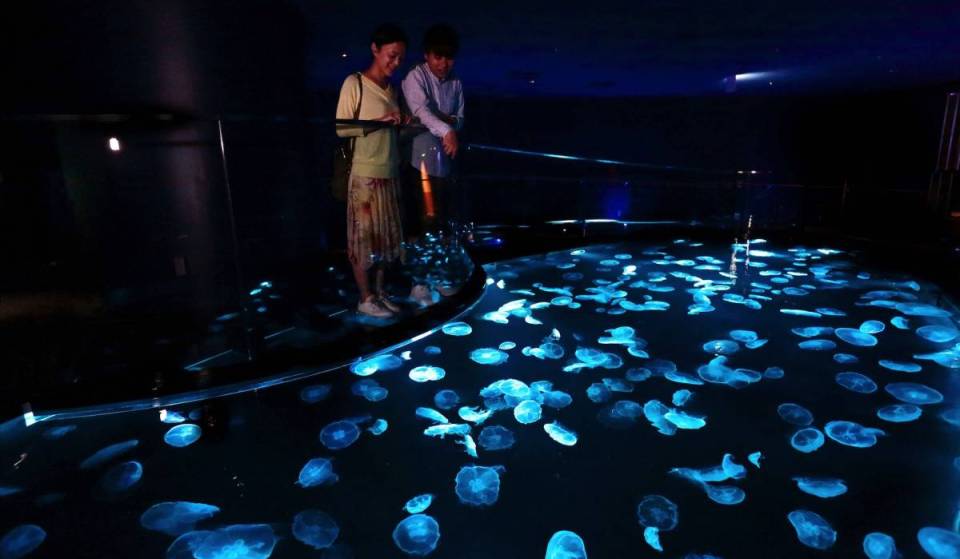 10 Fun Things to Do with Kids in Tokyo