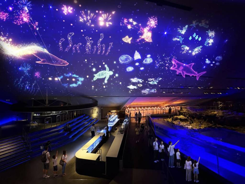 すみすい花火2026 ～水と光で涼む夏。～