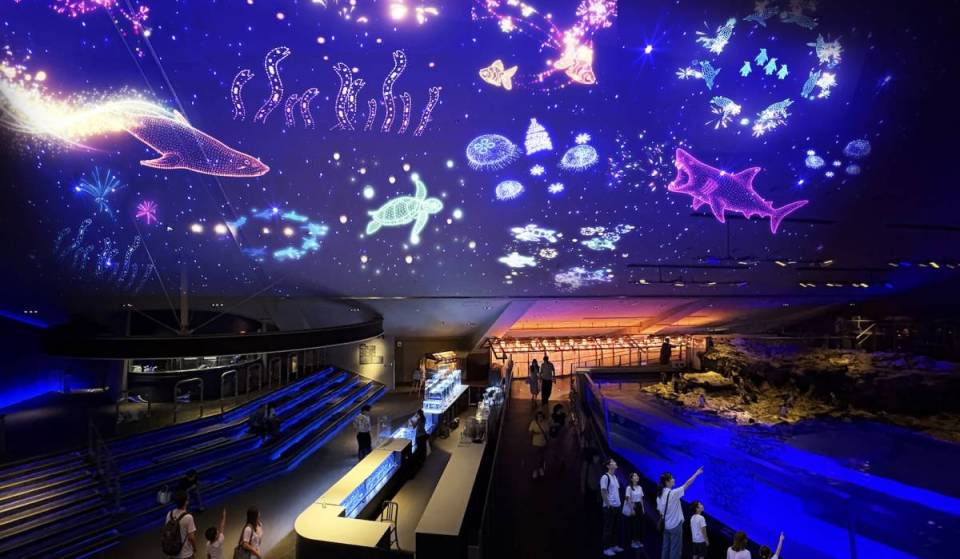 10 Fun Things to Do with Kids in Tokyo