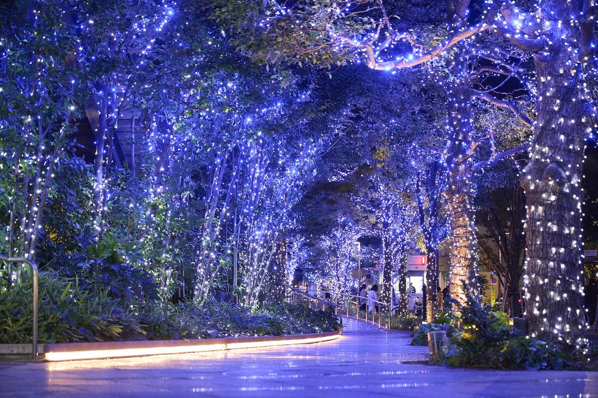 ソラミ坂(昨年の様子) ©TOKYO-SKYTREETOWN