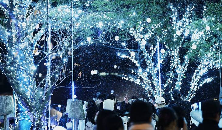 今週末におすすめのイベント8選（11月15日〜16日）