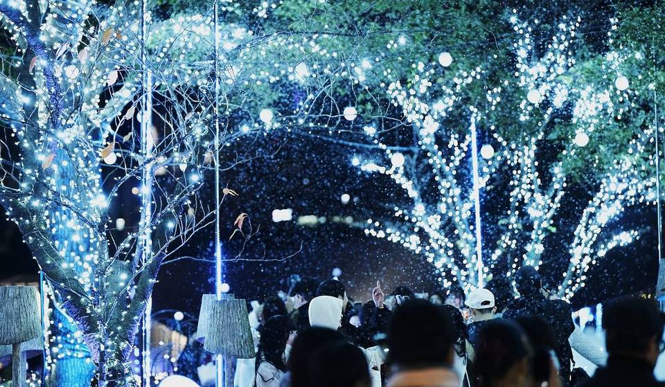 今週末におすすめのイベント8選（11月15日〜16日）