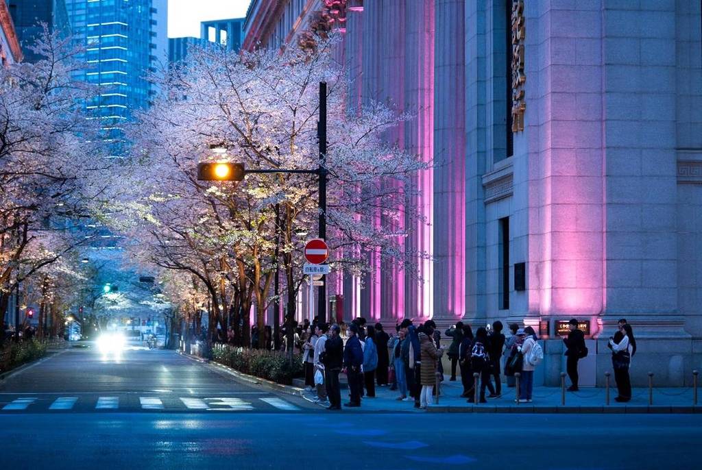From Classic Spots to Cruising! 10 Recommended Cherry Blossom Viewing Spots in Tokyo