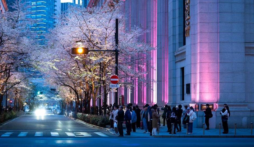 From Classic Spots to Cruising! 10 Recommended Cherry Blossom Viewing Spots in Tokyo