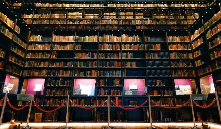 From classics to hidden gems: 8 indoor spots to enjoy even on rainy days