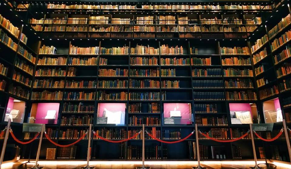 From classics to hidden gems: 8 indoor spots to enjoy even on rainy days