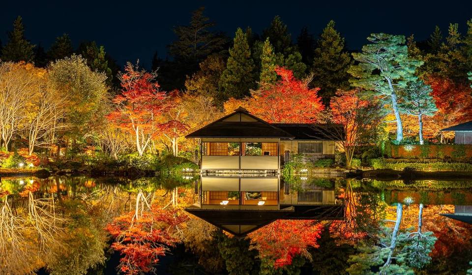 15 Things to Do in Tokyo in November