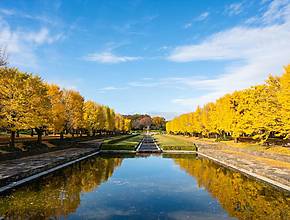 11月に東京ですべきこと12選