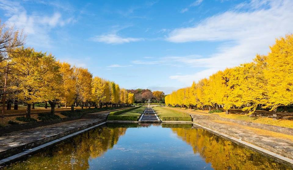 11月に東京ですべきこと12選