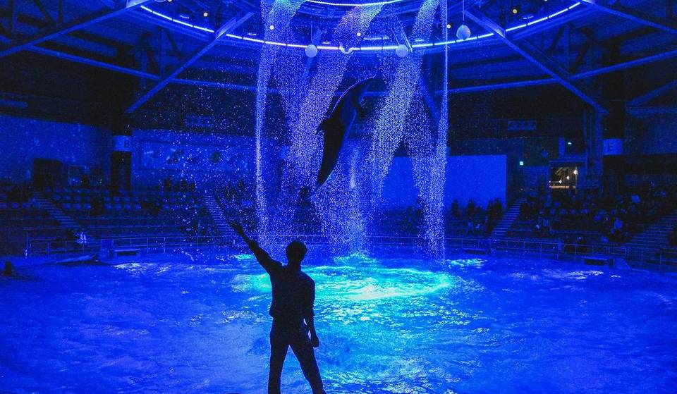 都内からアクセス抜群！おすすめの水族館5選