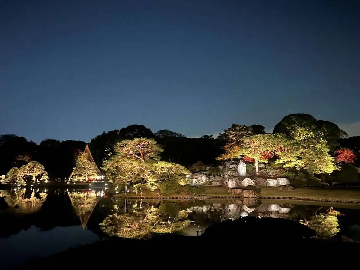庭紅葉の六義園 夜間特別観賞