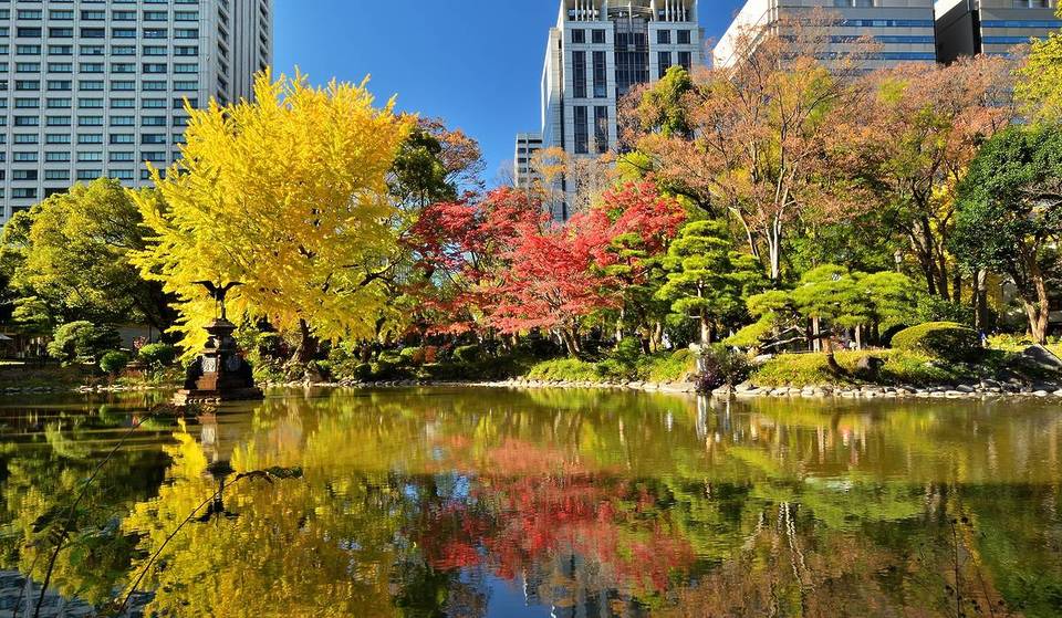 黄金色のトンネルから期間限定のライトアップまで：週末に行きたい東京都内の紅葉絶景スポット10選