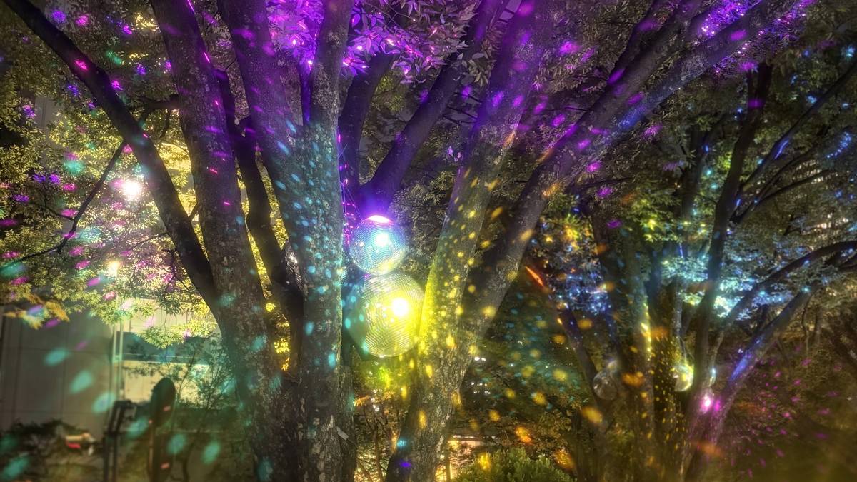 Light Seeds -星が舞うヒカリの世界-