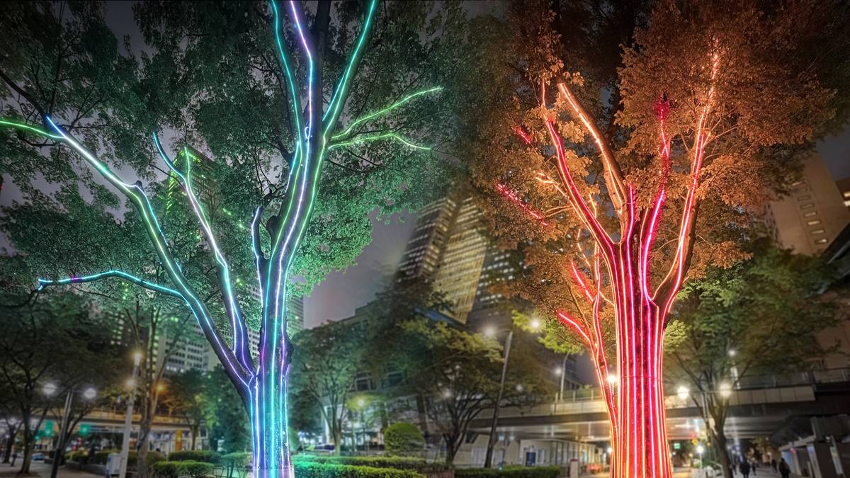 Echo Trees -はじまりとおわりの呼応-