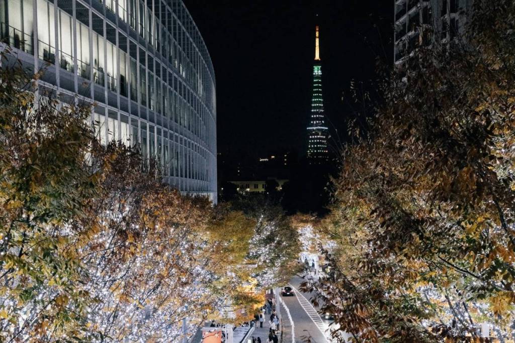 Starting in November! 5 Illumination Spots That Brighten Up Tokyo’s Winter