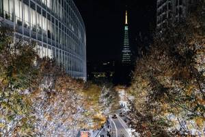 11月から順次スタート！東京の冬を華やかに彩るイルミネーション5スポット