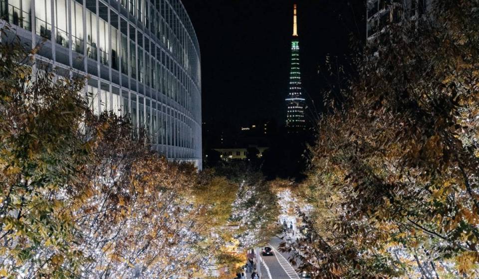11月から順次スタート！東京の冬を華やかに彩るイルミネーション5スポット