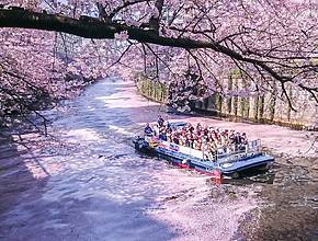 10 Recommended Spots for March